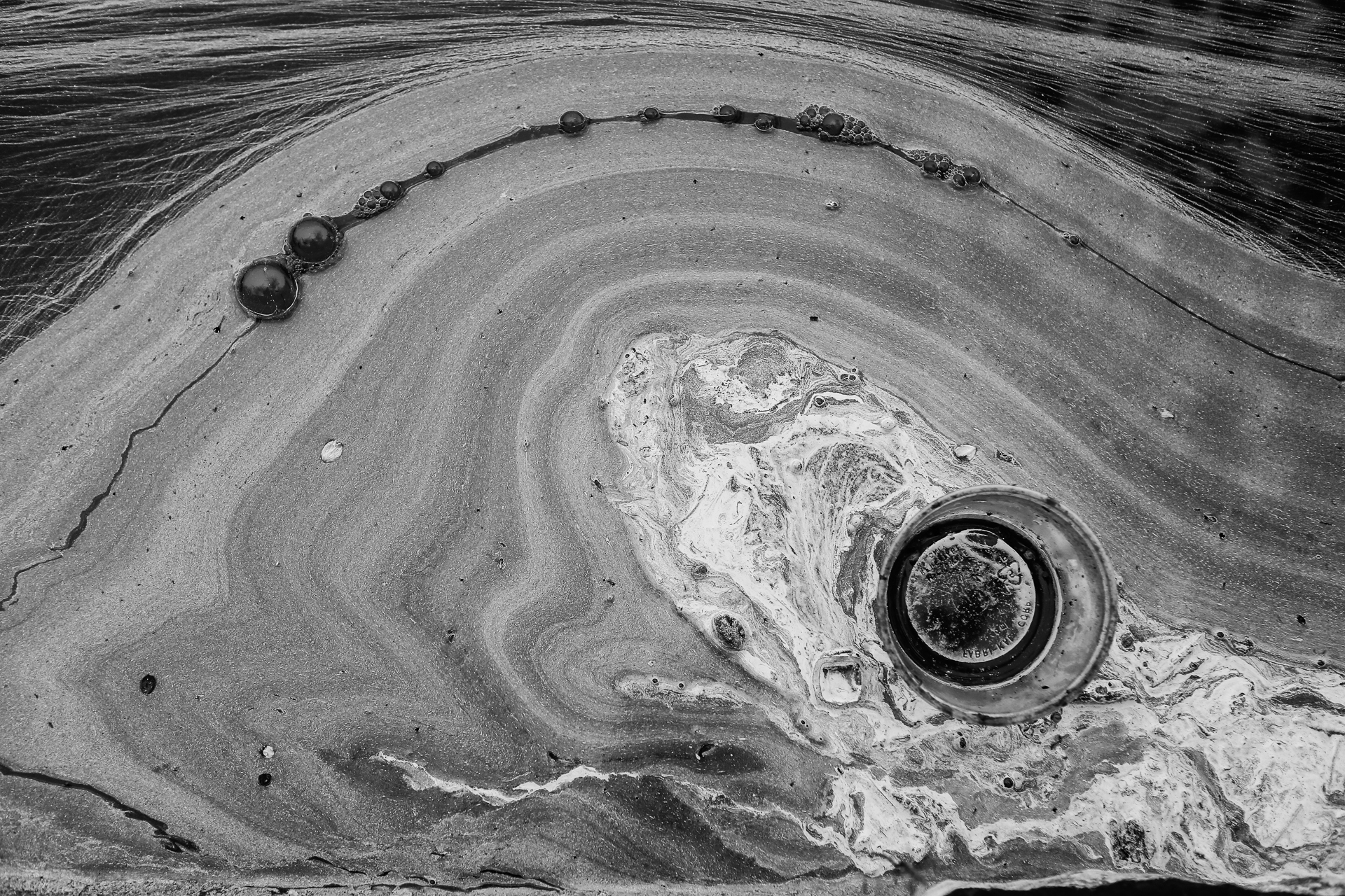 Trash floats in a pool of pollen at the edge of the Tidal Basin in Washington, D.C., March 27, 2017. (© 2017 Eric Dietrich Photography)